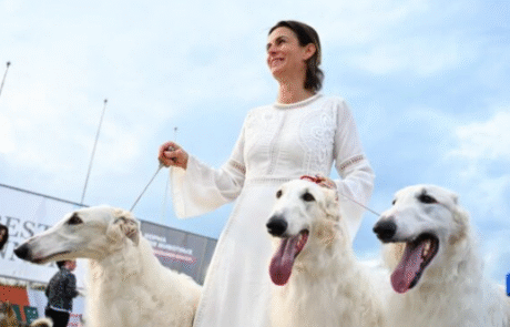 Аккредитация на выставки Аккредитация на выставки