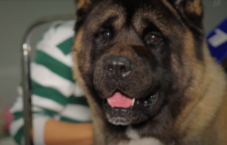 Аккредитация на выставки Аккредитация на выставки