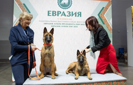 Аккредитация на выставки Аккредитация на выставки