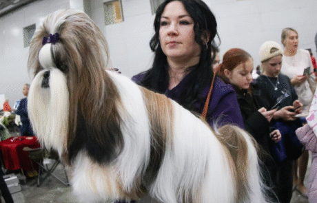 Аккредитация на выставки Аккредитация на выставки