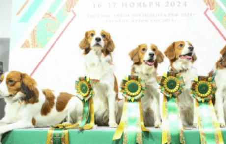 Аккредитация на выставки Аккредитация на выставки