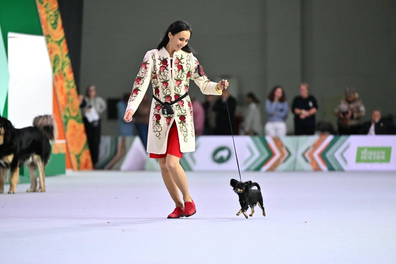 Аккредитация на выставки Аккредитация на выставки