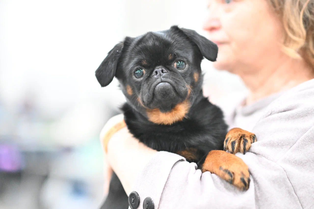 Аккредитация на выставки Аккредитация на выставки