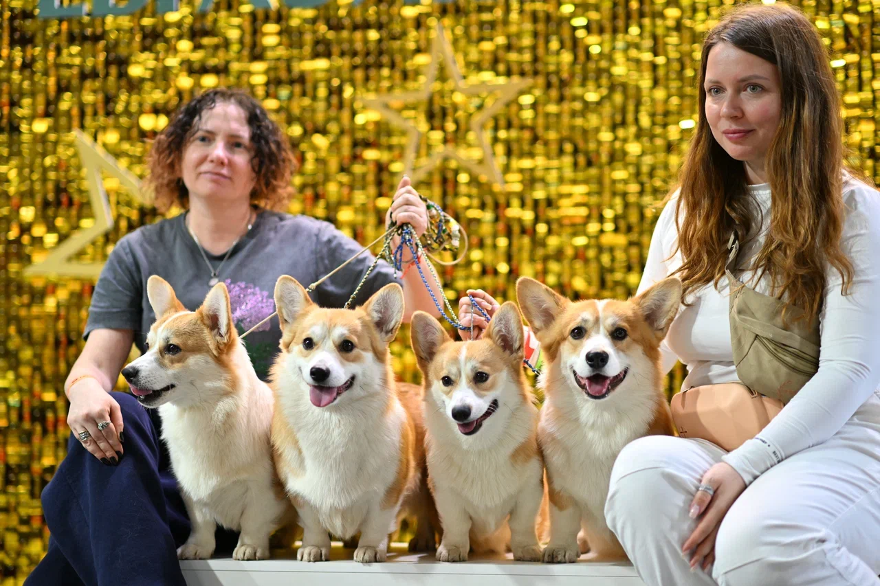 Аккредитация на выставки Аккредитация на выставки