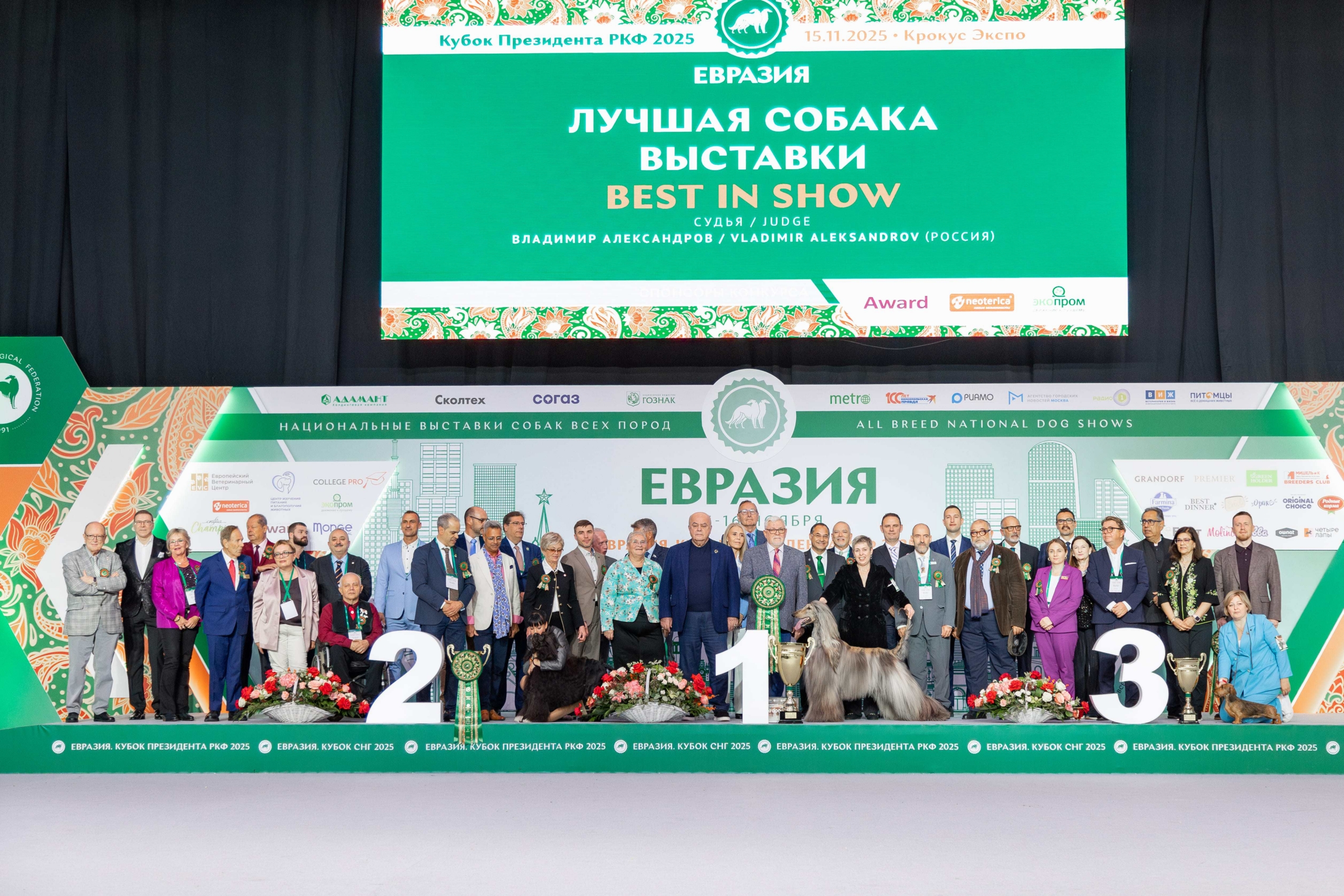 Выставка собак «Евразия 2025», фотогалерея Выставка собак «Евразия 2025», фотогалерея