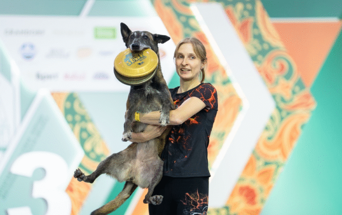 ДОГ-ФРИСБИ: ЧТО НУЖНО ЗНАТЬ ВЛАДЕЛЬЦАМ СОБАК