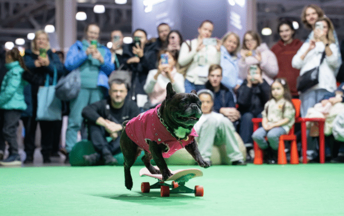 НАЗВАНЫ ПОБЕДИТЕЛИ ВЫСТАВКИ «ЕВРАЗИЯ-2025»