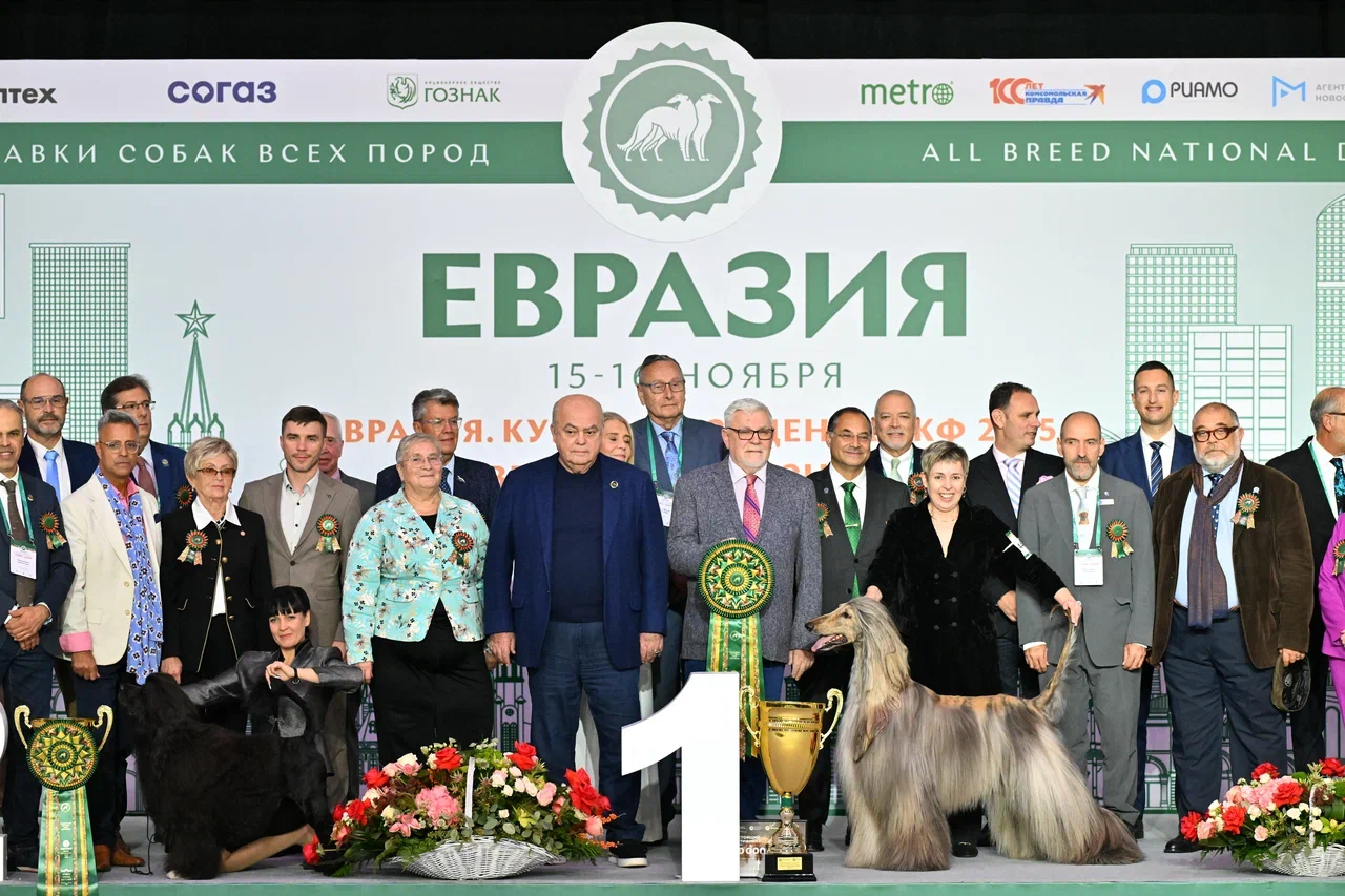 Аккредитация на выставки Аккредитация на выставки