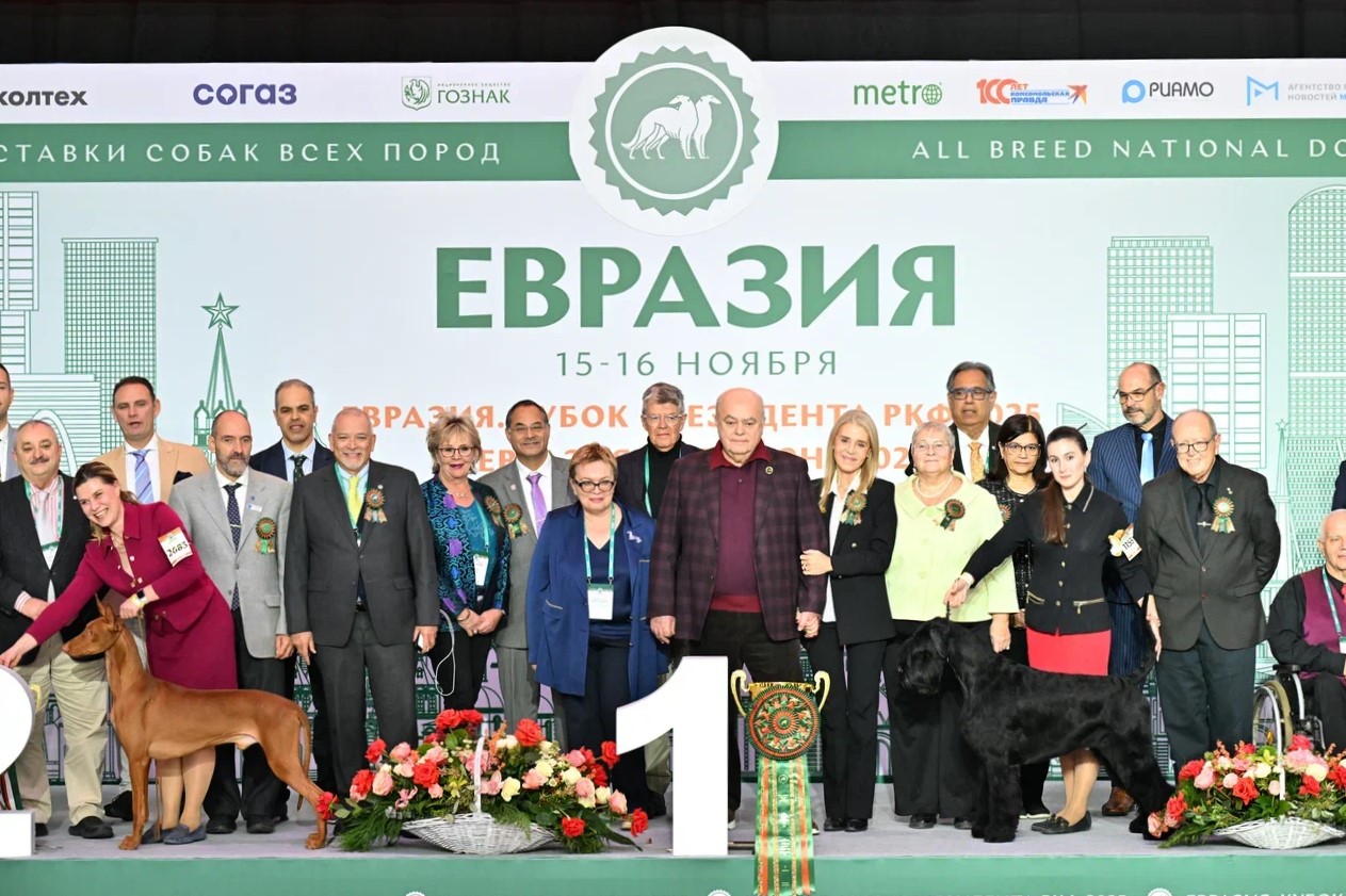 Аккредитация на выставки Аккредитация на выставки