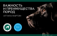 «Важность и преимущество пород собак» – информационный буклет от Аттилы Мартона