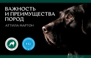 «Важность и преимущество пород собак» – информационный буклет от Аттилы Мартона
