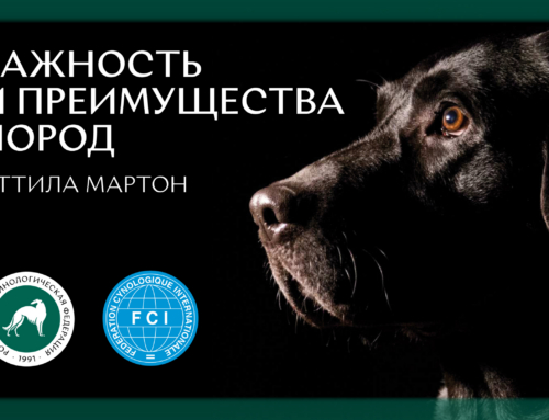 «Важность и преимущество пород собак» – информационный буклет от Аттилы Мартона