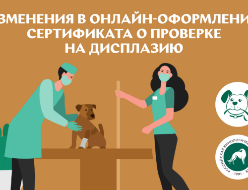 Изменения в онлайн-оформлении сертификата о проверке на дисплазию