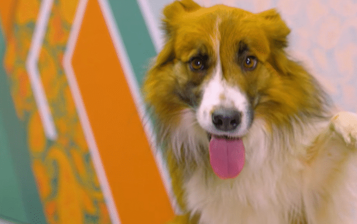 НАВИГАТОР. НОВОСТИ. ВЫПУСК 1297. КТО ТАКИЕ ЮНЫЕ ХЕНДЛЕРЫ?