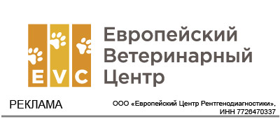 NDS "Eurasia" NDS "Eurasia"