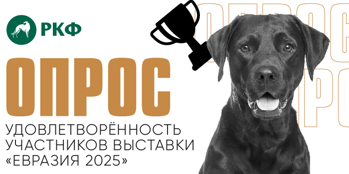 УДОВЛЕТВОРЁННОСТЬ УЧАСТНИКОВ ВЫСТАВКИ «ЕВРАЗИЯ 2025»