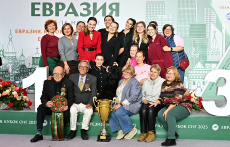 Фотогалерея