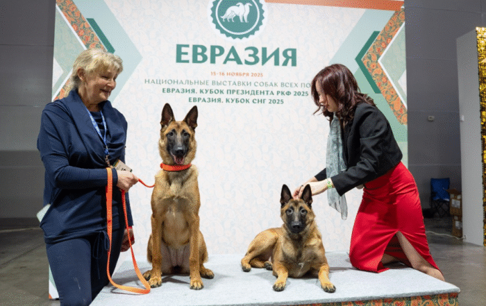 ВЫСТАВКА «ЕВРАЗИЯ-2025» В «КРОКУС ЭКСПО» СОБРАЛА СВЫШЕ 9 ТЫС. СОБАК