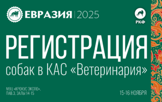 Вниманию участников выставки «Евразия 2025», проживающих в Московской области!