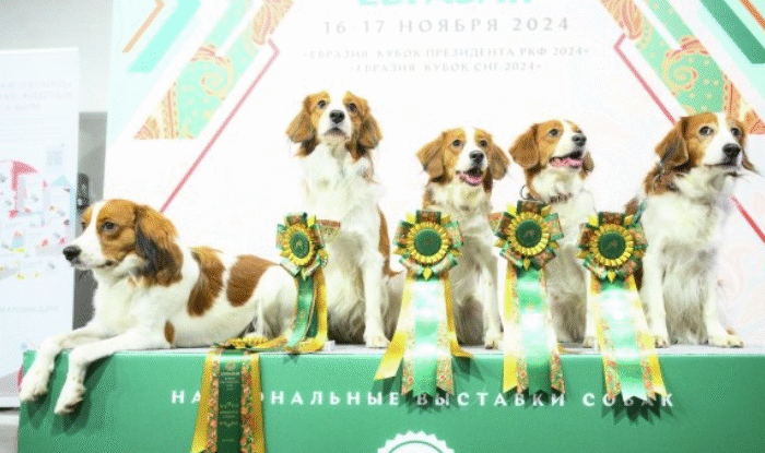 ВЫСТАВКА СОБАК «ЕВРАЗИЯ 2025» ПРОЙДЕТ В «КРОКУС ЭКСПО» 15–16 НОЯБРЯ