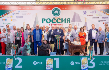 Фотогалерея