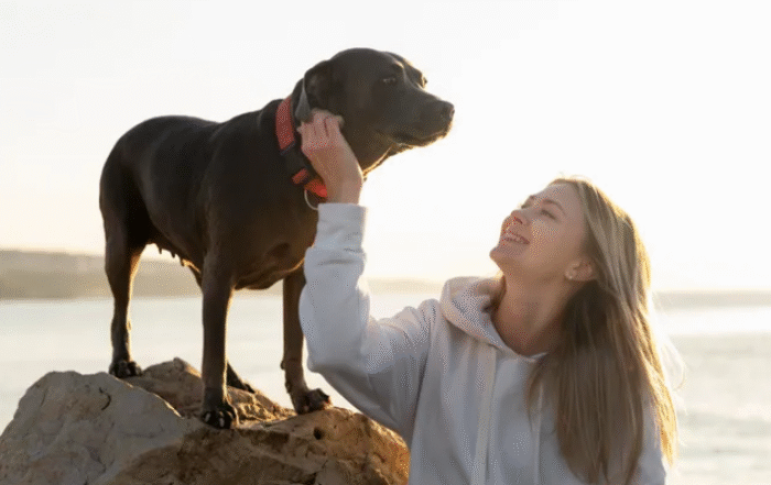 ПУШИСТЫЙ ПСИХОЛОГ: С КАКИМИ ФОБИЯМИ ПОМОГАЕТ СПРАВЛЯТЬСЯ СОБАКА