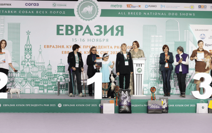 МОСКВА ОНЛАЙН ПОКАЖЕТ ОБЗОР ВЫСТАВКИ СОБАК "ЕВРАЗИЯ 2025"