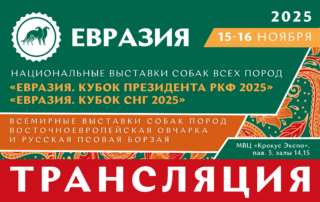 Онлайн-трансляция выставок «Евразия 2025»