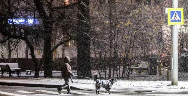 КИНОЛОГ РАССКАЗАЛ, КАК СОБРАТЬ "ТРЕВОЖНЫЙ ЧЕМОДАНЧИК" ДЛЯ СОБАКИ