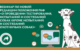 Вебинар по новой редакции положения РКФ «О проведении тестирования, испытаний и состязаний собак (кроме испытаний и состязаний охотничьих собак)»