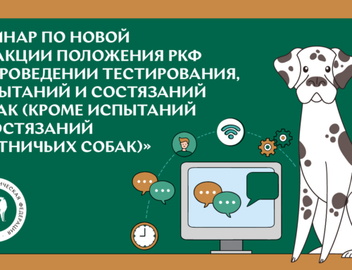 Вебинар по новой редакции положения РКФ «О проведении тестирования, испытаний и состязаний собак (кроме испытаний и состязаний охотничьих собак)»