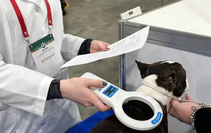 В ПОДМОСКОВЬЕ ПРОШЛИ ВСЕМИРНЫЕ ВЫСТАВКИ СОБАК ВСЕХ ПОРОД