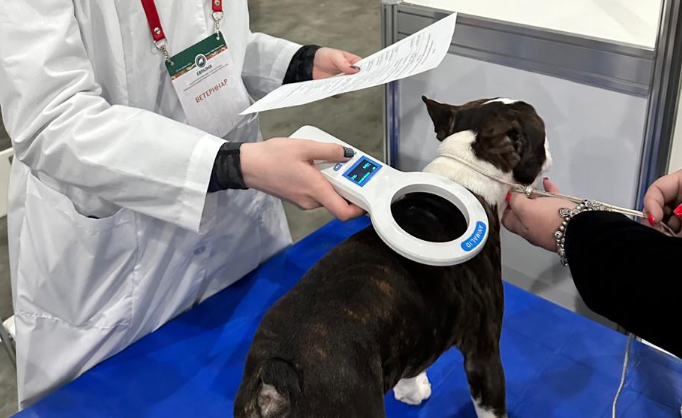 В ПОДМОСКОВЬЕ ВЕТЕРИНАРЫ ОБЕСПЕЧИЛИ БЕЗОПАСНОЕ УЧАСТИЕ 9 ТЫСЯЧ СОБАК В МАСШТАБНОЙ КИНОЛОГИЧЕСКОЙ ВЫСТАВКЕ «ЕВРАЗИЯ»