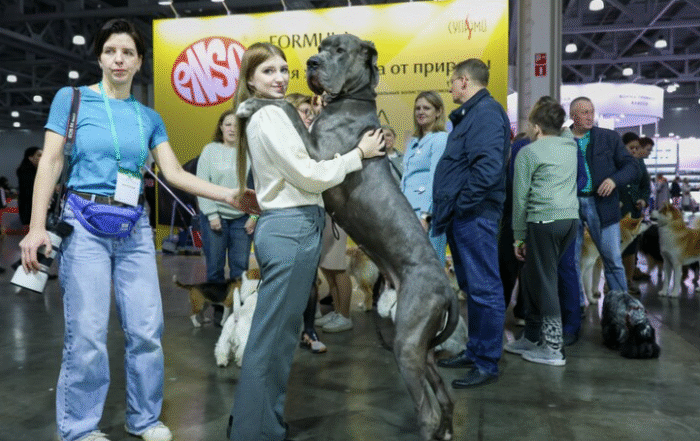 МЕЖДУНАРОДНАЯ КИНОЛОГИЧЕСКАЯ ВЫСТАВКА "ЕВРАЗИЯ" ПРОШЛА В МОСКВЕ