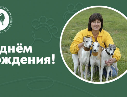 Поздравление с днём рождения члена президиума РКФ Н.Г. Харатишвили