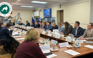 РКФ: комплексный подход к построению современной конструкции информационно-просветительской работы в области собаководства