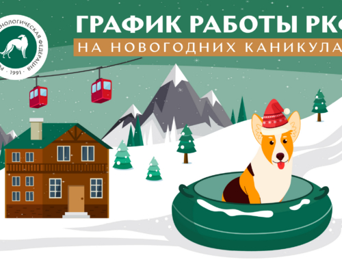 График работы офиса РКФ