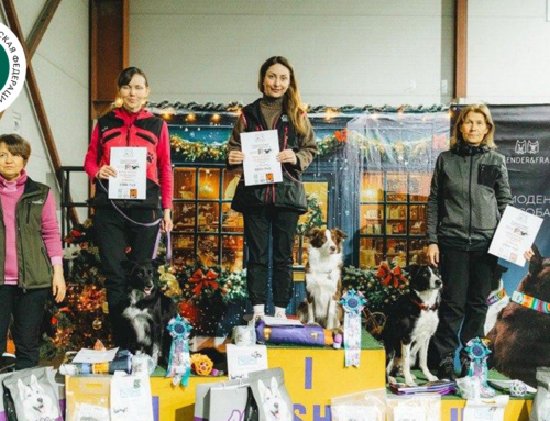 Кубок России РКФ по обидиенс