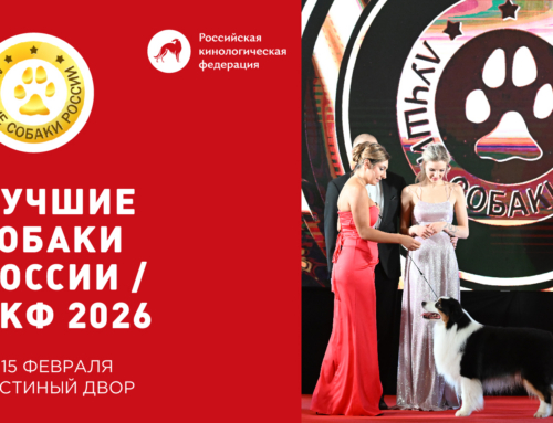 Выставка «ЛУЧШИЕ СОБАКИ РОССИИ / РКФ 2026»