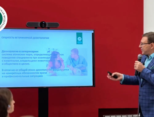 Как улучшить ветеринарную помощь: в Москве прошли обсуждения с участием РКФ и профильных организаций