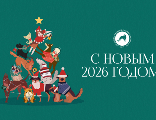 С Новым годом!