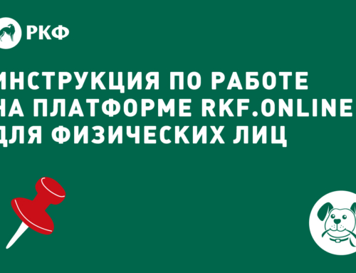 Инструкция по работе на платформе RKF.Online для физических лиц