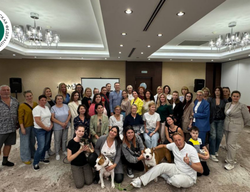 РКФ: развитие через партнерство, или как прошли региональные семинары в области породного собаководства