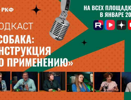 Подкаст РКФ «СОБАКА: ИНСТРУКЦИЯ ПО ПРИМЕНЕНИЮ»