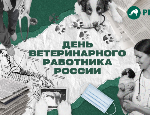 С Днем ветеринарного работника России!