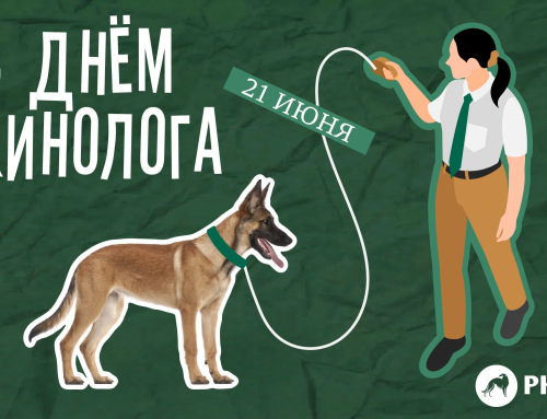 С Днём кинолога!