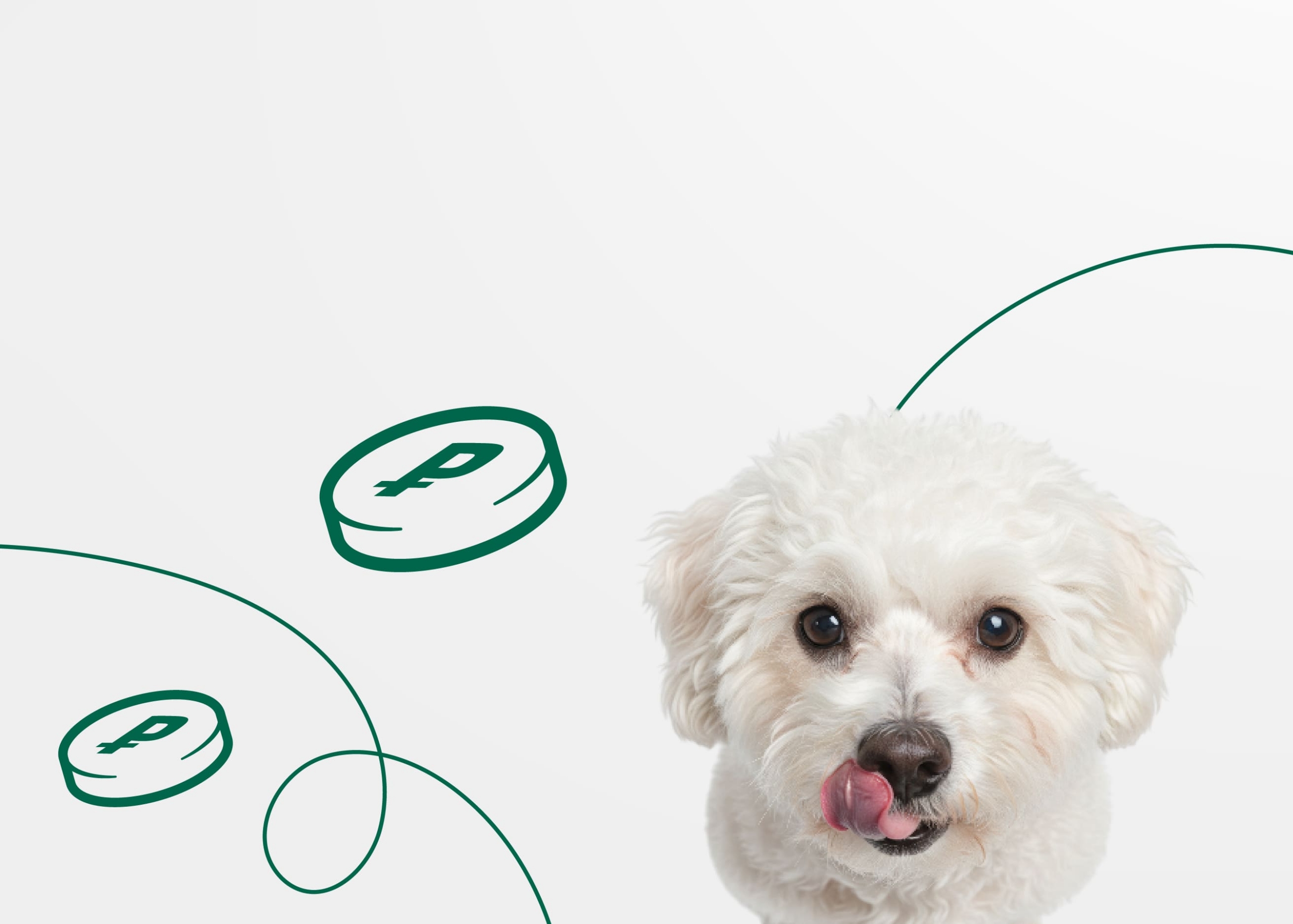 КАК СЭКОНОМИТЬ НА СОДЕРЖАНИИ СОБАКИ БЕЗ ВРЕДА