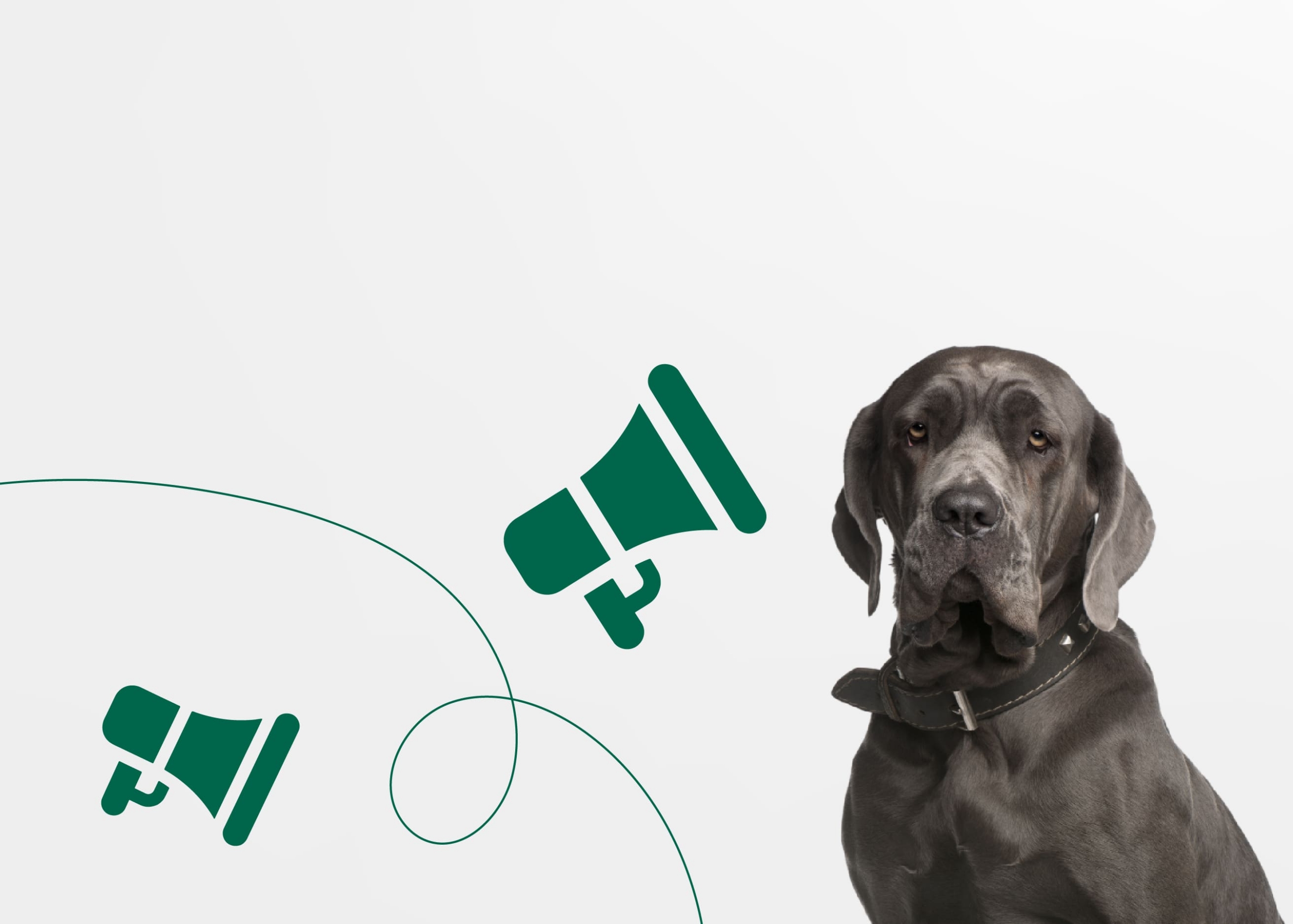 ЧТО ДЕЛАТЬ, ЕСЛИ ВАША СОБАКА ПОТЕРЯЛАСЬ