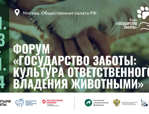 Форум «Государство заботы: культура ответственного владения животными» пройдет в Москве 31 марта – 1 апреля