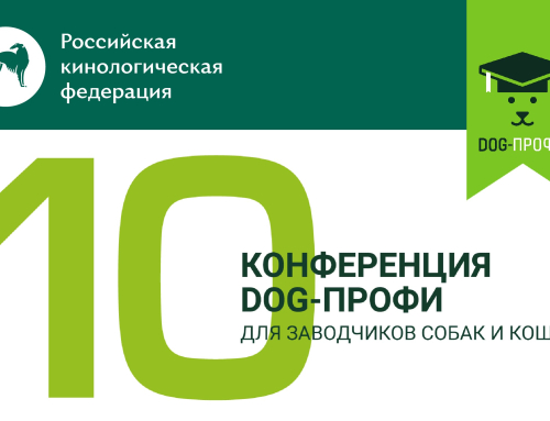 Эксперты РКФ примут участие в 10-й конференции DOG-ПРОФИ для заводчиков собак и кошек
